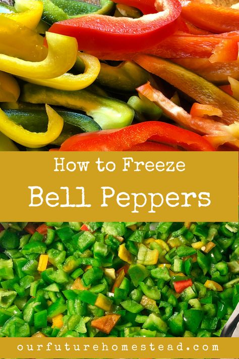 Ways To Preserve Bell Peppers, How To Freeze Peppers, Freeze Bell Peppers, Freezing Green Peppers, Freeze Peppers, Canning Bell Peppers, Freezing Bell Peppers, Diy Homesteading, Freezing Peppers