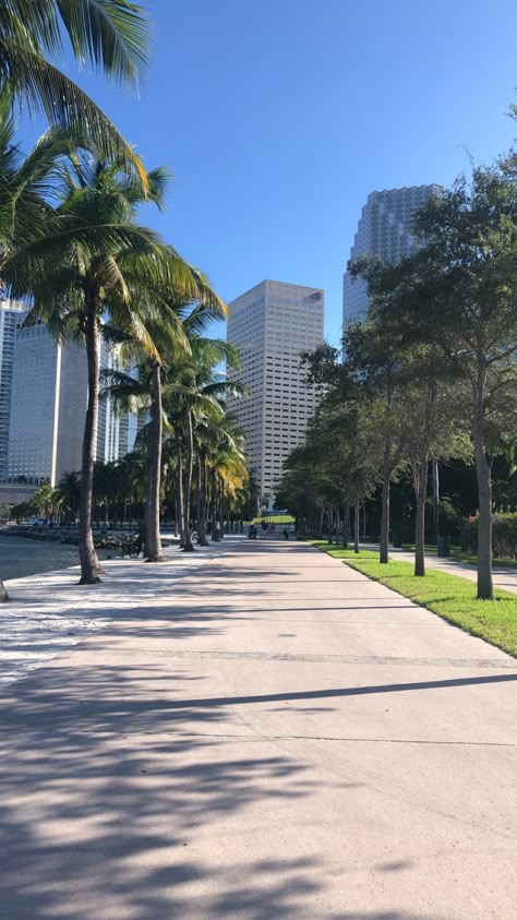 Miami Morning, Lugares Aesthetic, Miami Life, Alam Yang Indah, City Aesthetic, Miami Florida, Best Restaurants, Dream Destinations, Travel Advice