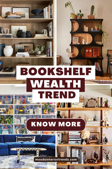 Navigating Bookshelf Wealth Bookshelf Wealth Aesthetic, Bookshelf Wealth, Bookshelf Styling Living Room, Bookshelves Aesthetic, Colorful Bookshelf, Bookshelf Aesthetic, Styling Bookshelves, Home Bookshelves, Aesthetic Sense