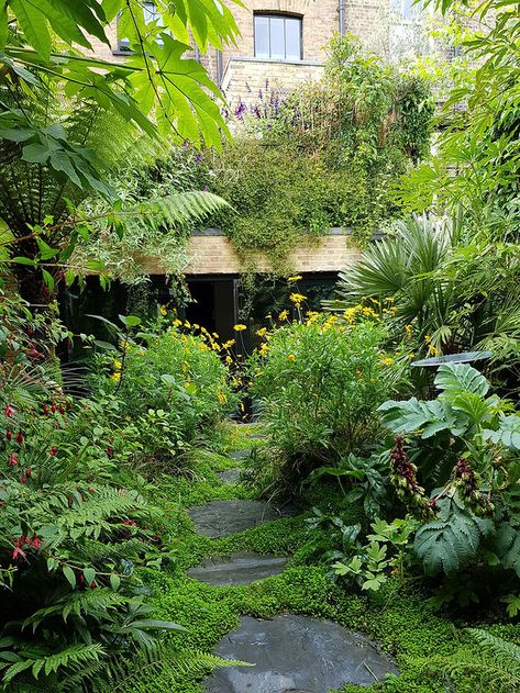 Fenton Roberts Garden Design, small garden designs, London London Small Garden, Small London Garden, London Fields, Small City Garden, Jungle Gardens, Sensory Garden, London Garden, Home Garden Design, School Garden