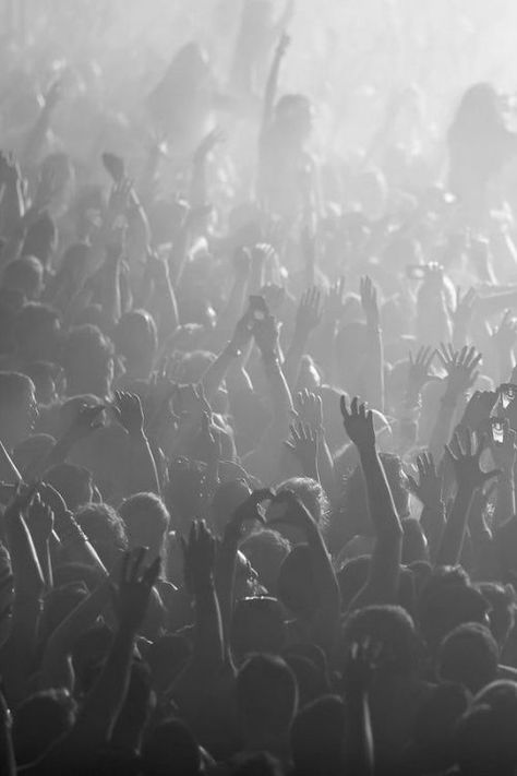 concerts Concert Crowd, Crowd Of People, I'm With The Band, Concert Photography, Image Hd, Rock N, Music Festival, Rock N Roll, Airplane View