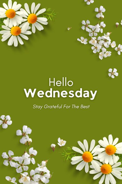 "Harness the power of Wednesdays, where every small step you take brings you closer to your dreams." #WEDNESDAY #Wednesdayvibe #quoteoftheday #quotesaboutlife #motivational Sales Wallpaper, Wednesday Images, Wednesday Vibes, Happy Wednesday Images, Hello Wednesday, Morning Wednesday, Good Morning Wednesday, Quotes Design, Wednesday Motivation