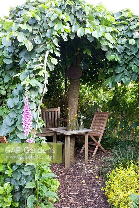 Under Tree Patio, Sheltered Garden Seating, Canopy Trees Backyards, Shade Garden Seating Area, Garden Sitting Area Under Tree, Seating Around A Tree, Tree Seats Wrap Around, Shed Seating Area, Secret Garden Nook