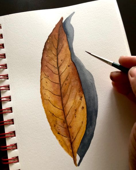 A realistic brown fall leaf painted with watercolors Autumn Leaves Art Drawing, Dry Leaf Painting, Realistic Leaf Drawing, Fall Leaf Painting, Fall Leaves Painting, Watercolor Tutorial For Beginners, Leaf Lessons, Fall Leaf Art Projects, Leaf Watercolor Painting