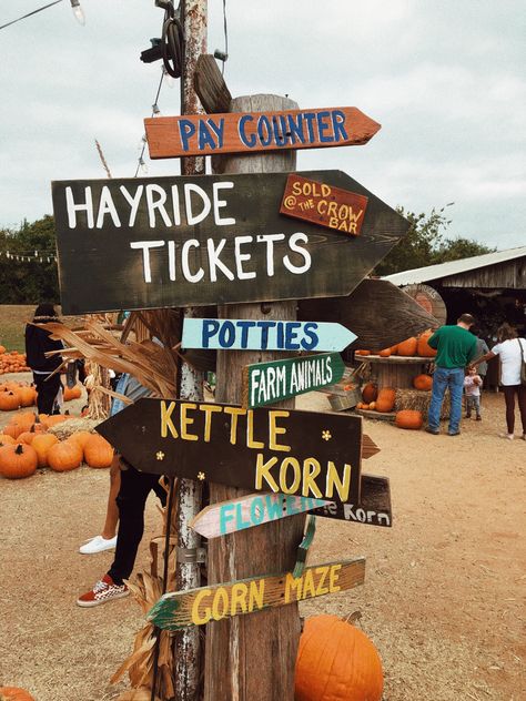 Pumpkin Patch Business, Pumpkin Patch Decoration, Pumpkin Patch Activities, Aesthetic Pumpkin Patch, Pumpkin Patch Aesthetic, Patch Aesthetic, Best Friend Photo Ideas, Friend Photo Ideas, Pumpkin Patch Farm