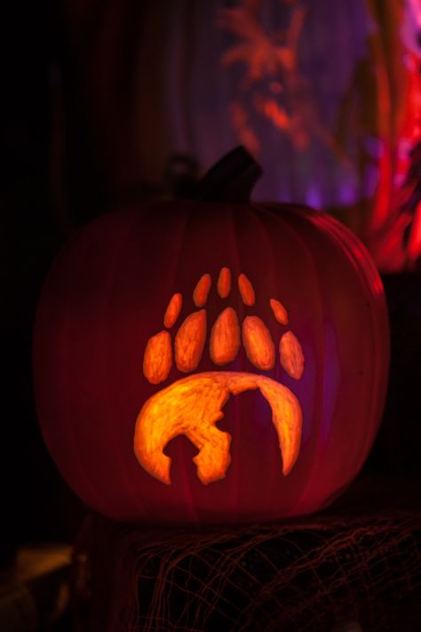 Brother Bear inspired carved pumpkin. Bear Pumpkin Carving, Wolf Pumpkin Carving, Disney Pumpkin Carving Ideas, Pumpkin Creations, Pumpkin Inspo, Bear Pumpkin, Cute Pumpkin Carving, Disney Pumpkin Carving, Halloween Pumpkin Carving Stencils