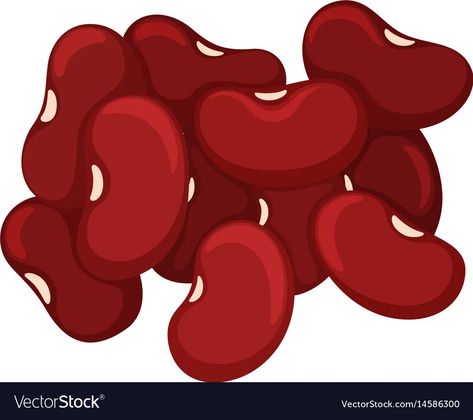 Pile of red beans Royalty Free Vector Image - VectorStock Beans Illustration, Beans Image, Fruits Name In English, Nutrition Classes, Fruit Names, Diy Classroom, Kindergarten Math Worksheets, Diy Paper Crafts Decoration, Plant Drawing