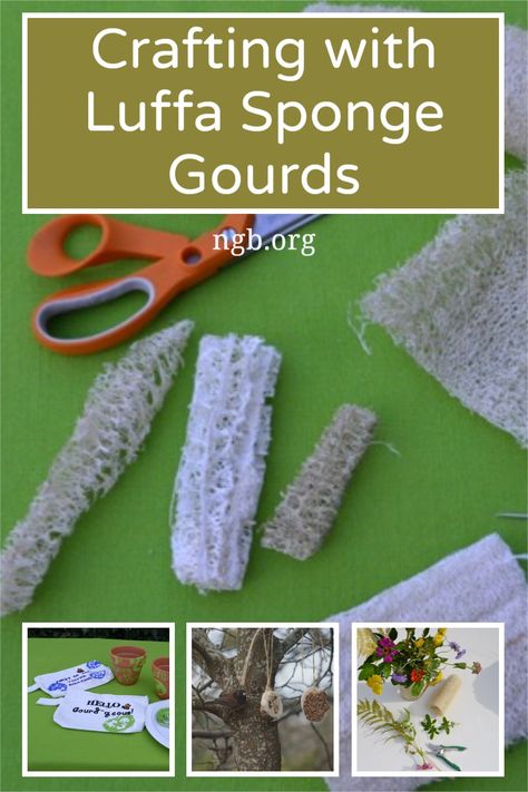 Crafting with Luffa Sponge Gourds - National Garden Bureau - What To Do With Luffa Gourds, Loofah Craft Ideas, Luffa Crafts Ideas, Loofah Gift Ideas, Luffa Gift Ideas, Luffa Sponge Diy, Loofa Gourd, Luffa Recipe, Reconciliation Art