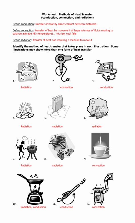 Heat Transfer Activities, Heat Transfer Science, Thermal Energy Transfer, Conduction Convection Radiation, Biology Worksheet, 6th Grade Science, Heat Energy, Thermal Energy, Energy Transfer