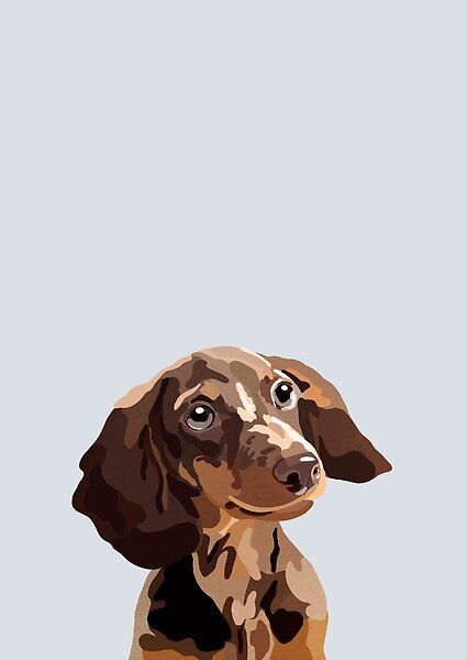 Un arte pop, ilustración de estilo gráfico de un perro salchicha / Dachshund. Dachshund Wallpaper, Dog Illustration Art, Arte Dachshund, Dog Design Art, Dachshund Illustration, Cute Dog Wallpaper, Dachshund Art, Posca Art, 강아지 그림