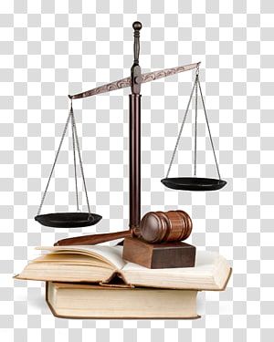 Law Balance Scale, Law Logo Justice, Law Logo Lawyer, Justice Scale, Law School Inspiration, Law Firm Logo, Balance Scale, Law Logo, Lady Justice