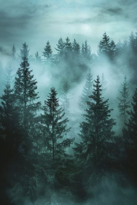 Misty foggy forest, fir mountains, natural mist landscape, dark woods view, mystery clouds on pine trees stock images Misty Nature Aesthetic, Misty Forest Aesthetic, Foggy Forest Painting, Misty Forest Painting, Misty Pine Forest, Misty Nature, Mist Landscape, Foggy Woods, Mist Forest