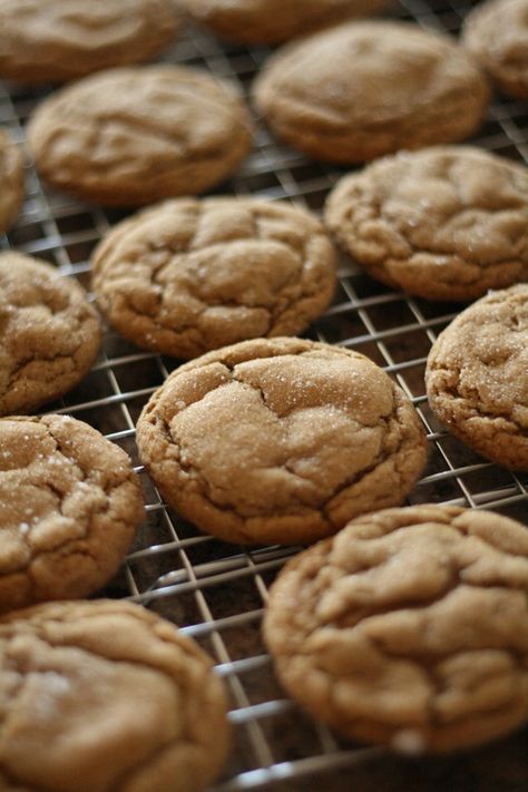 Gingerdoodle Cookies....these are AMAZING! Super soft and chewy...my favorite kind of cookie for Christmas :) Gingerdoodle Cookies, Soft Ginger Cookies, Ginger Cookie Recipes, Sweet California, California Life, Soft Bakes, Christmas Cookies Easy, Crinkle Cookies, Ginger Cookies