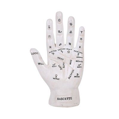 Fortune Teller Hand, Palmistry Hand, Hand Statue, Heart Line, Life Line, Palm Reading, Crushed Stone, Healthy Routine, Fortune Telling