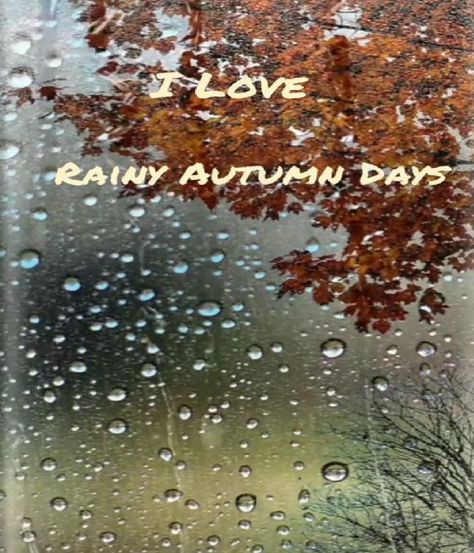 Rainy Friday Quotes, Its Raining Its Pouring, Rainy Friday, Fall Sayings, Rainy Day Quotes, Days Quotes, Rainy Autumn, Rainy Fall, Hello April