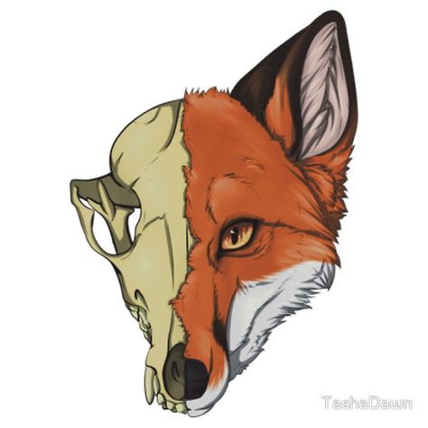 Fox Skull Art, Fox Skull Drawing, Fox Skull Tattoo, Oddities Tattoo, Fox Skeleton, Red Fox Skull, Graffiti Monsters, Fox Skull, Monster Hunter Series