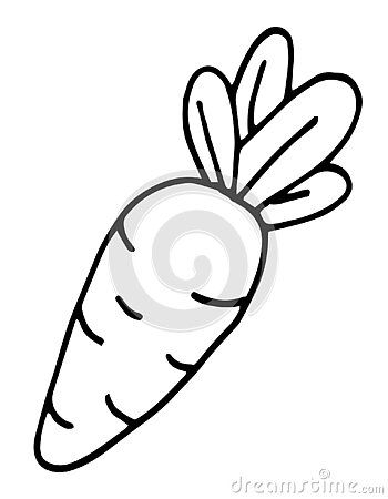 Carrot Outline, Pregnancy Art, Vegetable Illustration, Rabbit Food, Outline Art, Food Illustrations, Coloring Pages For Kids, Stock Illustration, Carrots