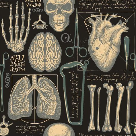 Biology Anatomy Aesthetic, Osteopathy Aesthetic, Anatomy And Physiology Aesthetic, Dark Physiology, Anatomy Wallpaper Aesthetic, X Ray Aesthetic, Medical Binder, Dark Academia Wallpaper, Nursing School Motivation