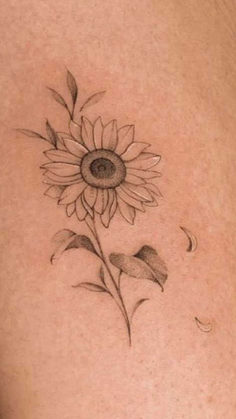 #CoolTattoos #TattooArt #InkMaster #TattooDesigns #InkedUp #TattooLovers #InkInspiration #TattooIdeas #CreativeInk #TattooStyle Sunflower Tattoo Dotwork, Three Sunflowers Tattoo, Sun And Flower Tattoo Simple, Sunflower And Dandelion Tattoo, Sunflower Memorial Tattoo Grandma, Sunflower Tattoo Shoulder Blade, Sun Flower Drawing Simple, Sunflower Tattoo Design For Women, Sunflower Line Tattoo