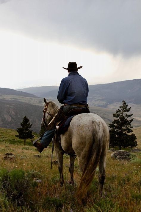 Cowpoke Aesthetic, Cowboy Pics, Western Images, Cowboy Photography, Pictures With Horses, Cowboy Pictures, Rodeo Cowboys, Man On Horse, Western Photography