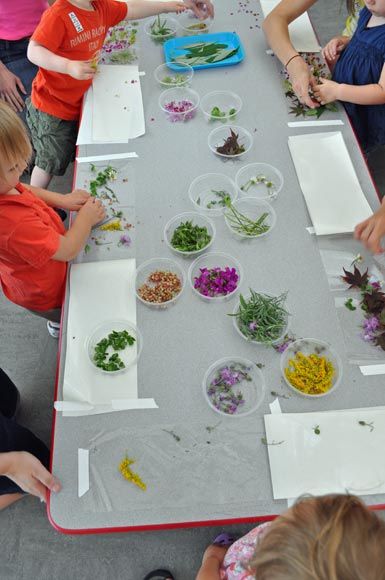 leaf collage on contact paper Flowers Activities For Kids, Leaf Collage, Art Activities For Toddlers, Nature Collage, Flower Collage, Art Activity, Nature Play, Eric Carle, Spring Activities