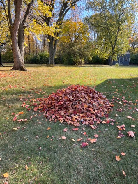 Raking Leaves Aesthetic, Leaf Pile Aesthetic, Yard Decoration Ideas, Nostalgic Halloween, Leaf Pile, Pile Of Leaves, Fall Yard Decor, Colorful Pumpkins, Autumn Core