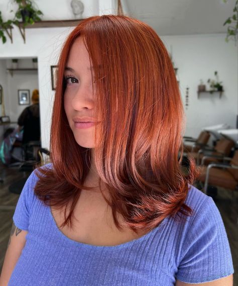 Rich Copper Red Hair, Deep Auburn Hair, Red Hair Tips, Hair Stages, Hair 90s, Peekaboo Hair Colors, Copper Red Hair, Future Bedroom, Hair Color Underneath