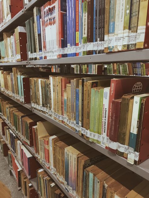 Library Worker Aesthetic, Librarian Core Aesthetic, Archivist Aesthetic, Narnia Core, Librarian Core, Librarian Aesthetic, Teacher Core, Twilight Core, Book Cart