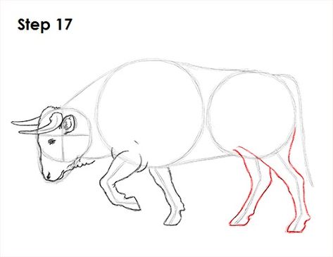 How To Draw Bull, Proportional Drawing, Cow Drawings, Bull Drawing, Animal Sketches Easy, Disney Drawing Tutorial, Graphic Novel Illustration, Cow Drawing, Bull Tattoos