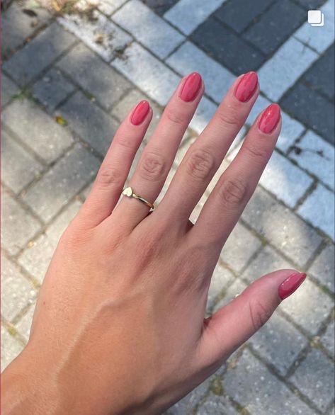 Gel Nails For Pale Skin, Pink Nails Tan Skin, Pale Skin Nail Color, Nails For Pale Hands, Nail Polish For Pale Skin, Nails Plain Color, Round Pink Nails, Nails Pale Skin, Nails For Pale Skin