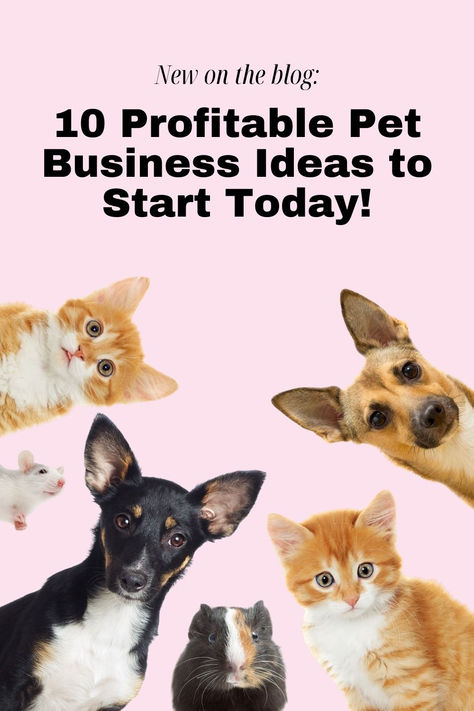 animal business ideas
pet business ideas
unusual pet business ideas
online pet business ideas pet business
pet sitting business
pet care business
pet industry jobs
pet grooming business
how to start a pet business
pet based business
pet daycare business
pet business opportunity Animal Business Ideas, Pet Social Media Post, Pet Boarding Business Ideas, Pet Business Ideas, Dog Business Ideas, Pet Marketing, Dog Boutique Ideas, Dog Sitting Business, Pet Influencer