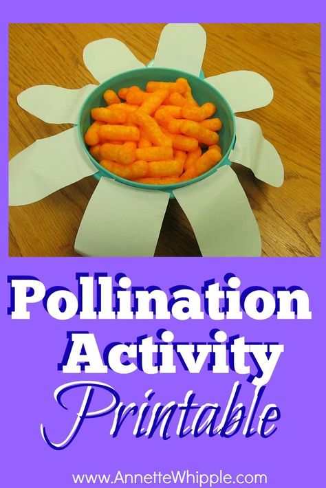 A hands-on science activity that really digs into pollination for children. Pollination Activity, Butterfly Science, Insects Preschool, Bugs Preschool, Bee Activities, Insect Activities, Plants Unit, Plant Activities, Textured Polo