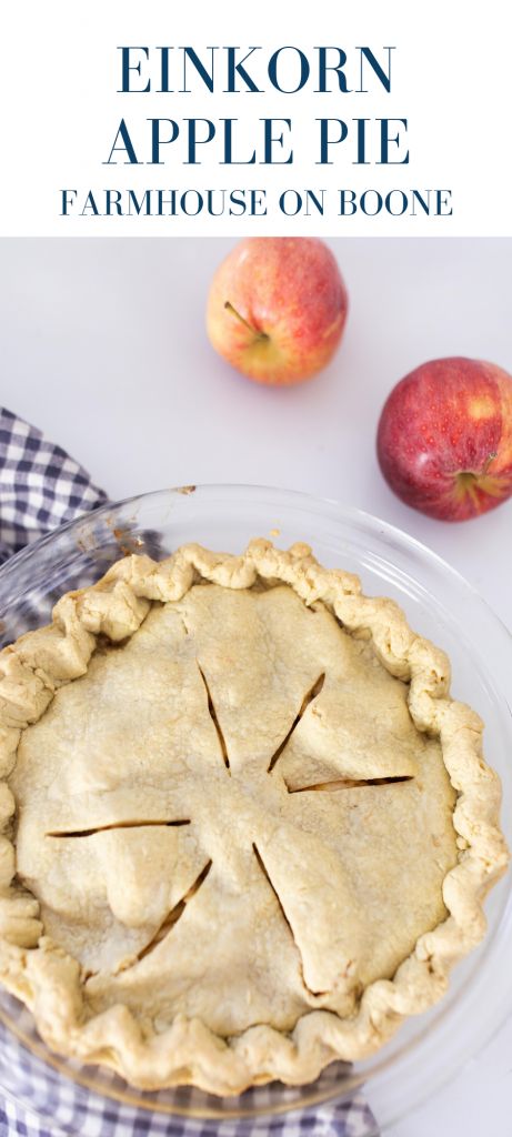 Homemade Apple Pie Recipe, Apple Pie From Scratch, Farmhouse On Boone, Pumpkin Cobbler, Apple Pie Recipe Homemade, Einkorn Recipes, Homemade Apple Pie, Homemade Recipes Dessert, Apple Pie Recipe