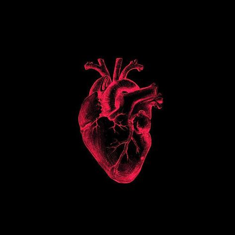 Red Heart On Black Background, Coeur Qui Bat, Apple Wallpaper Black, Human Heart Aesthetic, Real Heart Wallpaper, Red Heart Black Background, Matching Pfp 3, Me Highlight Cover Instagram Aesthetic, Real Heart