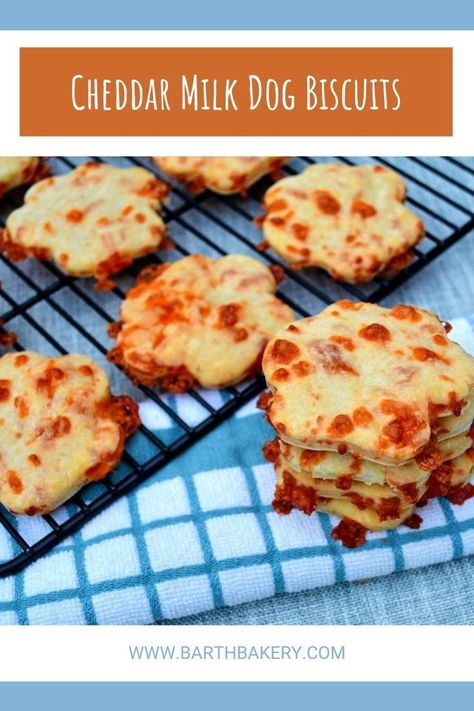 Cheese Dog Treats, Cheese Cookies Recipe, Bacon Dog Treats, Dog Cookie Recipes, Dog Treats Recipe, Dog Cake Recipes, Pet Treats Recipes, Easy Dog Treat Recipes, Dog Biscuit Recipes