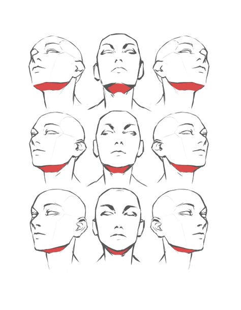 Head Leaned Back Drawing, Head Tips Drawing, Head Up Reference Drawing, Drawing Reference Head Angles, Drawing Heads Angles, Body Angles Drawing, Face Up Drawing, Drawing The Head, Head Looking Up Reference Drawing