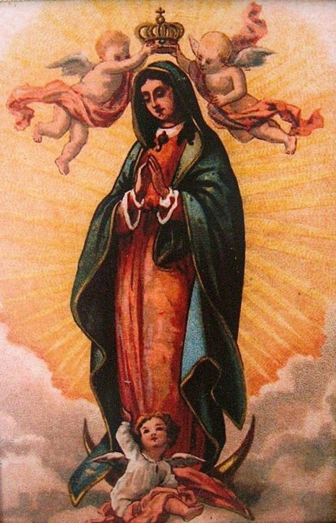 Mexican Catholic Art, Virgin Mary Picture, Mexican Art Tattoos, Virgin Mary Art, Blessed Mary, Angel Images, Hinduism Art, Blessed Mother Mary, Our Lady Of Guadalupe