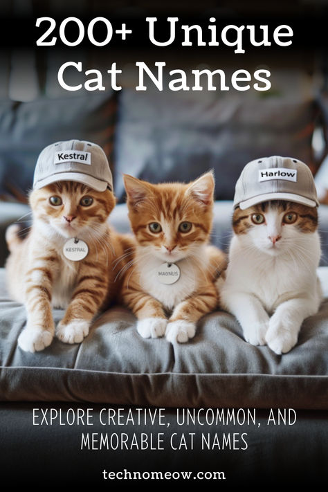 Uncover our curated list of 200+ unique cat names tailored for your extraordinary feline friend! Whether your cat is playful, elegant, or quirky, we have the ideal name to match their unique personality. From inventive and distinctive names to charming and whimsical ones, find the perfect name that will make your cat stand out. Names For Cats Unique, Cat Names Funny, Pet Names For Cats, Cat Names Unique, Cat Names Girl Unique, Cats Names Ideas, Black Cat Names, Kitten Names Unique, Boy Cat Names