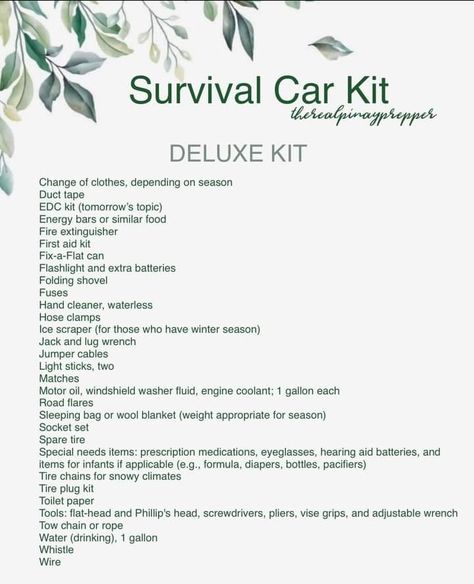 Car Survival Kits Diy, Car Living Hacks, Survival Skills Emergency Preparedness, Emergency Preparedness Food, Car Emergency Kit, Emergency Binder, Emergency Survival Kit, Emergency Prepardness, Emergency Bag