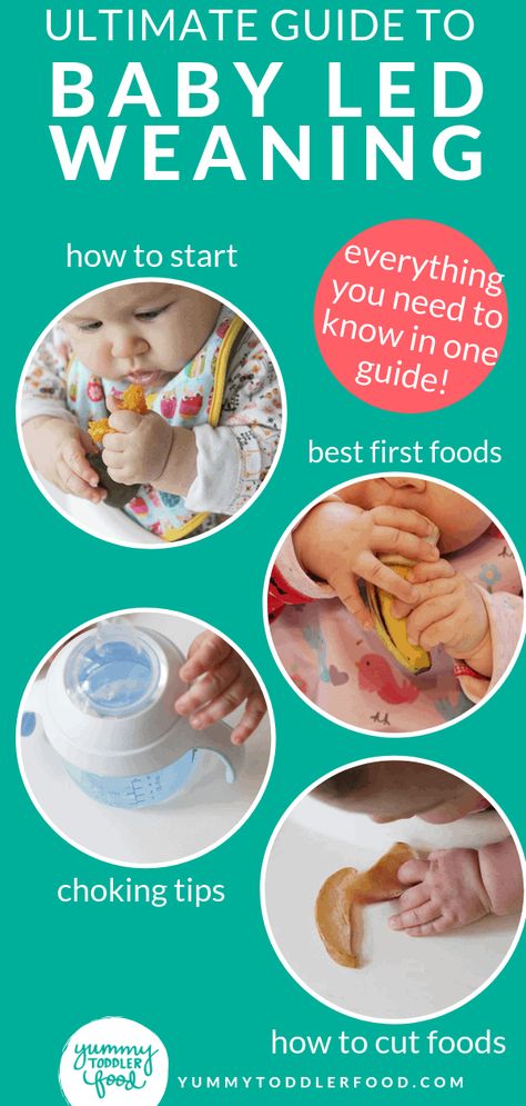 Learn the basics of how to do baby led weaning, the best first foods for baby, and to take the work out of starting solids. #blw #babyfood #babyledweaning Best First Foods For Baby, First Foods For Baby, Foods For Baby, Fingerfood Baby, Baby Led Weaning First Foods, Weaning Foods, Meal Schedule, Baby Led Feeding, First Foods