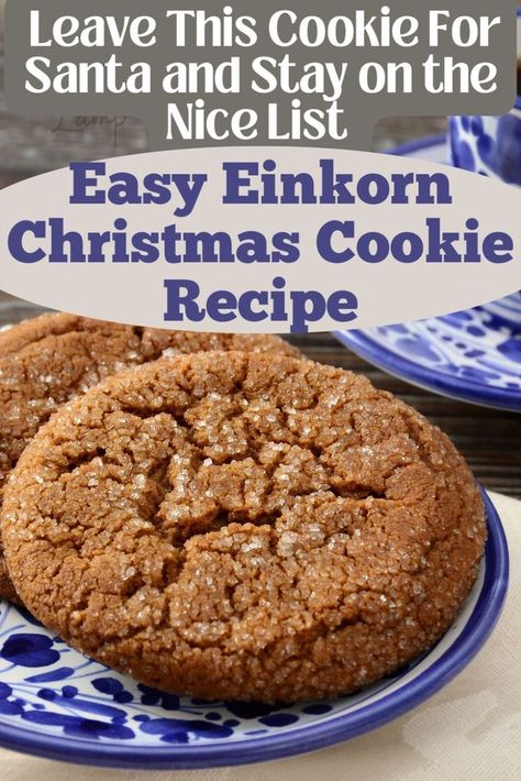 ginger cookies on blue and white plate Einkorn Gingerbread Cookies, Einkorn Cookie Recipe, Einkorn Flour Cookies, Einkorn Christmas Cookies, Einkorn Biscuits, Groats Recipe, Einkorn Cookies, Ancient Grains Recipes, Einkorn Bread