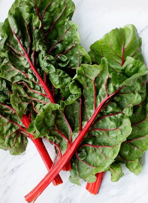 Learn how to cook Swiss chard! This healthy leafy green is SO delicious. Find my easy method for sautéing it, plus more favorite Swiss chard recipes! Cooking Swiss Chard, Swiss Chard Recipe, Rainbow Swiss Chard, Sauteed Swiss Chard, Veggie Frittata, Swiss Chard Recipes, Vegetables Photography, Chard Recipes, Rainbow Chard