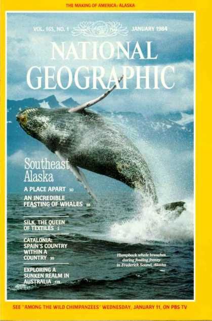 National Geographic Covers #1050-1099 National Geographic Cover, Spain Country, National Geographic Photography, Science Stories, Issue Magazine, Catalonia Spain, Flat Photo, National Geographic Magazine, Inspiring Photography