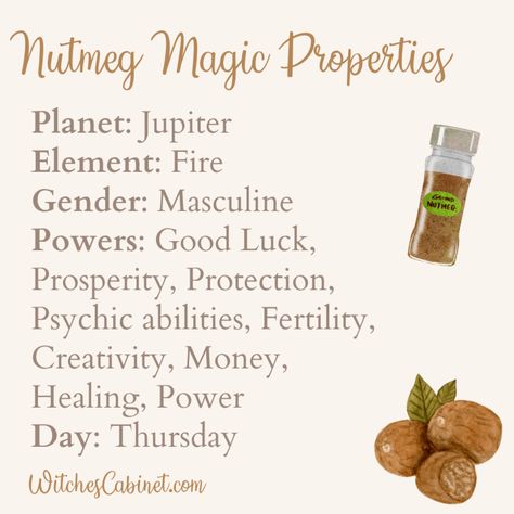 Fertility, Creativity, Money, Healing, Power Day: Thursday WitchesCabinet.com Magical Properties Of Nutmeg, Ginger Magical Properties, Nutmeg Magical Properties, Turmeric Magical Properties, Nutmeg Witchcraft, Star Anise Magical Properties, Nutmeg Magic, Thursday Magick, Kitchen Witchcraft