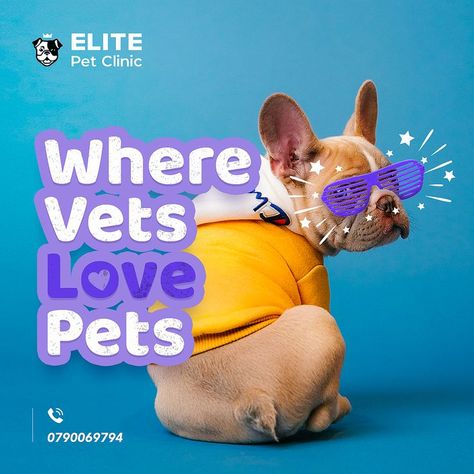 Veterinary Social media design for Instagram Veterinary Social Media, Dog Food Supplements, Pet Advertising, Pet Branding, Banner Design Inspiration, Food Supplements, Pet Blog, Pet Wellness, Pet Clinic