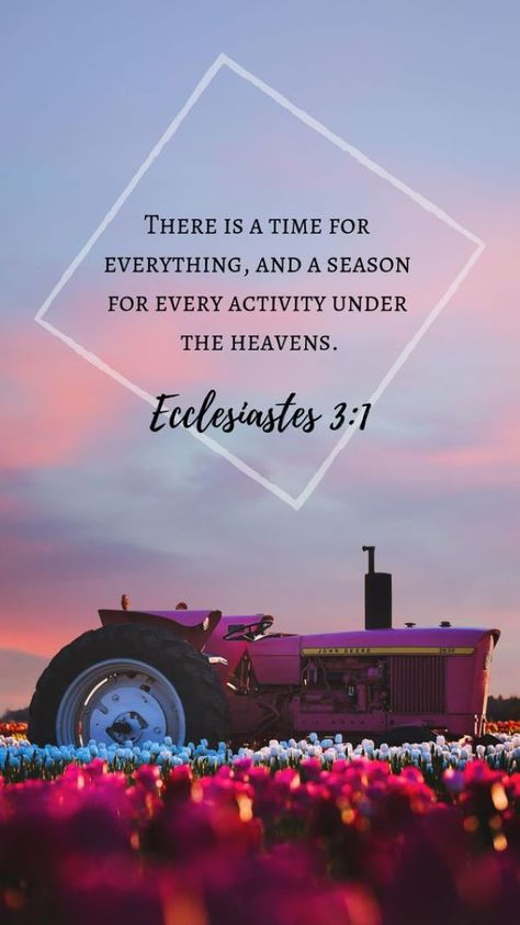 There is a time for everything, and a season for every activity under the heavens. A Time For Everything, Christ Quotes, Beautiful Bible Verses, Ayat Alkitab, Biblical Verses, Bible Verse Art, Inspirational Bible Quotes, Bible Verses Quotes Inspirational, Biblical Quotes