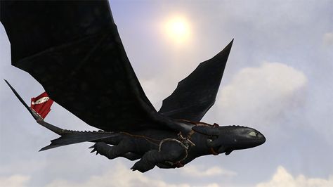 HTTYD toothless flying with out hiccup Toothless Wallpaper, Dragon Meaning, Httyd Toothless, Httyd Art, Toothless Dragon, Hiccup And Toothless, Grad Photoshoot, Dragon Trainer, Night Fury