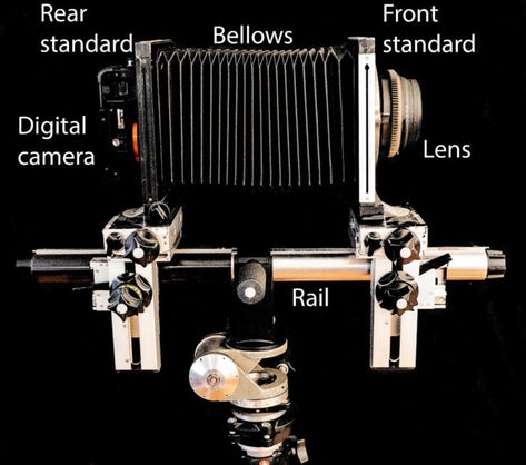 DIY Ultra-High-Res Digital Photos with a Large Format Camera | PetaPixel Camera Diy, Different Drawing Styles, Large Format Photography, Focus Images, Large Format Camera, Sony Nex, Full Frame Camera, Camera Obscura, Film Images