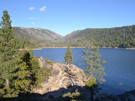 View of Pinecrest Lake Pinecrest Lake, Interstate Highway, Lake Resort, Summer Memories, Northern California, Wolves, Places Ive Been, The Good Place, Road Trip