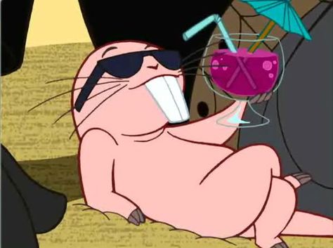 Rufus from Kim Possible Rufus Kim Possible, Kim Possible, Laughing So Hard, Disney Channel, Animal Memes, Bones Funny, Disney Movies, Childhood Memories